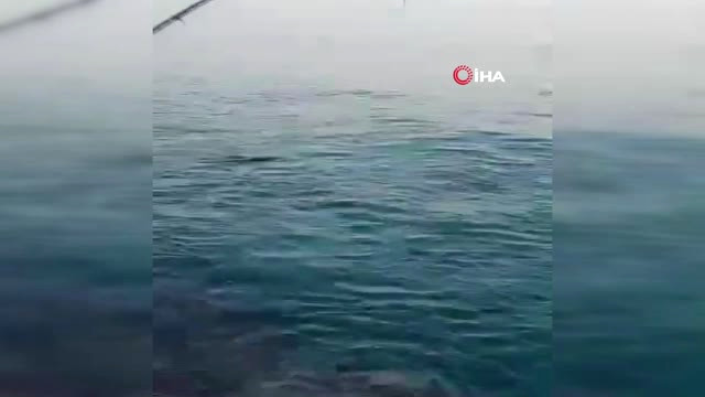 Oltayla 21 Kilo Ağırlığında Dev Kılıç Balığını Böyle Yakaladı
