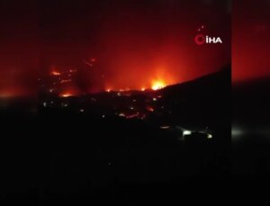 İzmir’deki orman yangını 10 katlı apartmana sıçradı