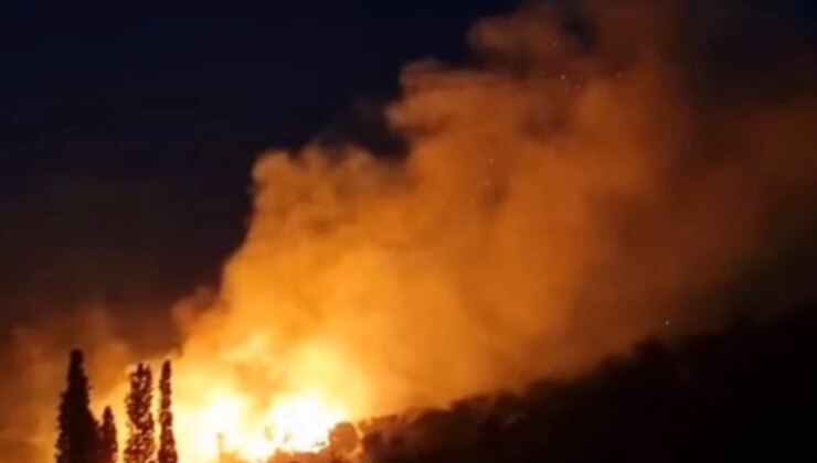 Karaburun’da çıkan orman yangını denetim altına alındı