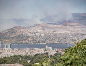 Karşıyaka’daki orman yangını; barınaklardaki hayvanlar tahliye edildi (5)