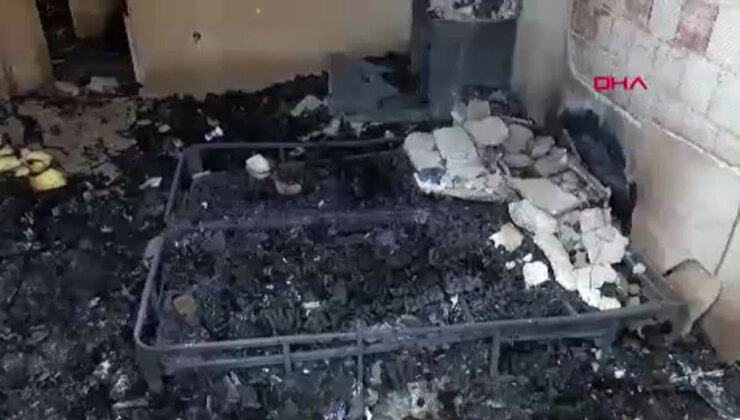 Yamanlar Dağı’ndaki Orman Yangınında Meskenleri Yanan Vatandaşlar Canlarını Güç Kurtardı