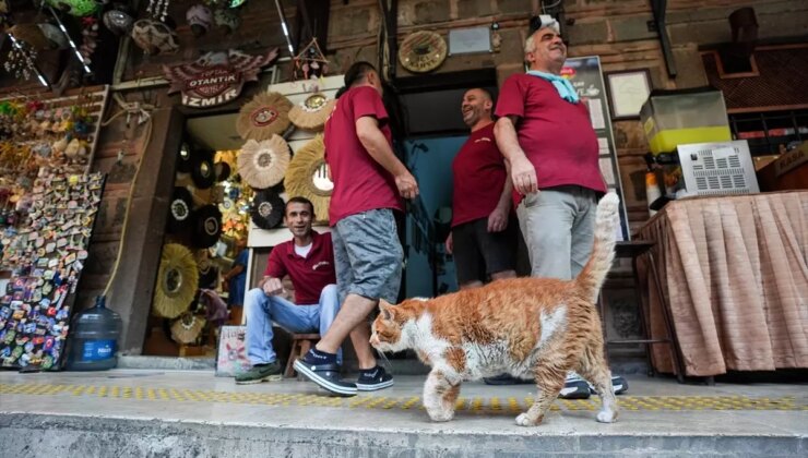 İzmir’de Kızlarağası Hanı’nın Maskotu: Tarçın