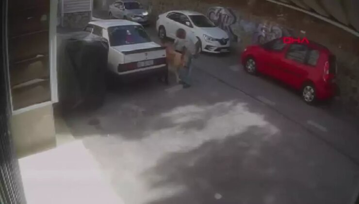 İzmir’de Sokak Köpeğinin Saldırısına Uğrayan 6 Yaşındaki Çocuk Yaralandı