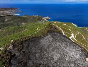 Foça’da Yangın Denetim Altına Alındı: 340 Hektar Arazi Ziyan Gördü