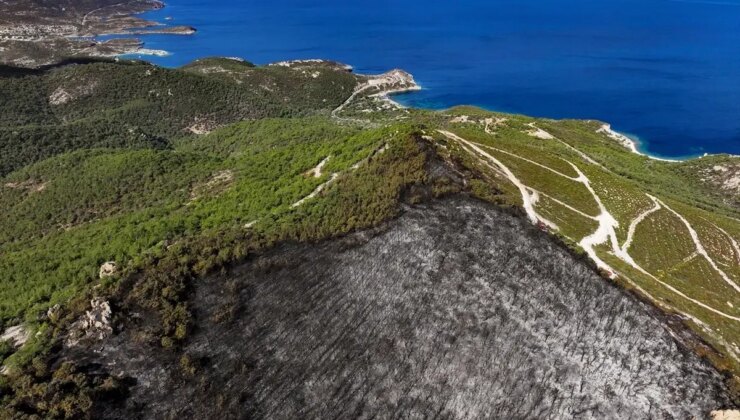 Foça’da Yangın Denetim Altına Alındı: 340 Hektar Arazi Ziyan Gördü