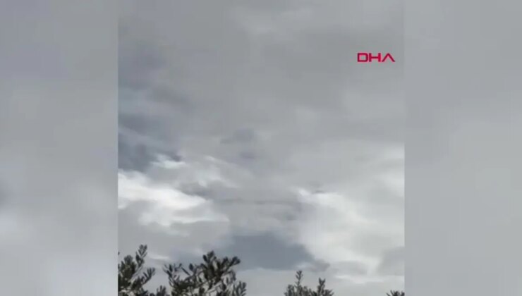 İzmir’de Zeytinlikte Yangın Denetim Altına Alındı