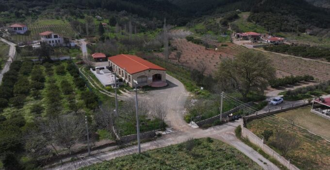 Anadolu’nun zeytinyağı mirası İzmir’deki “tadım kütüphanesinde” buluştu