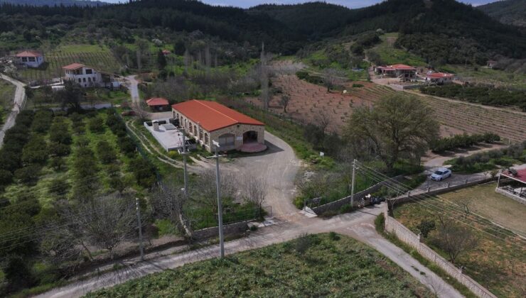 Anadolu’nun zeytinyağı mirası İzmir’deki “tadım kütüphanesinde” buluştu