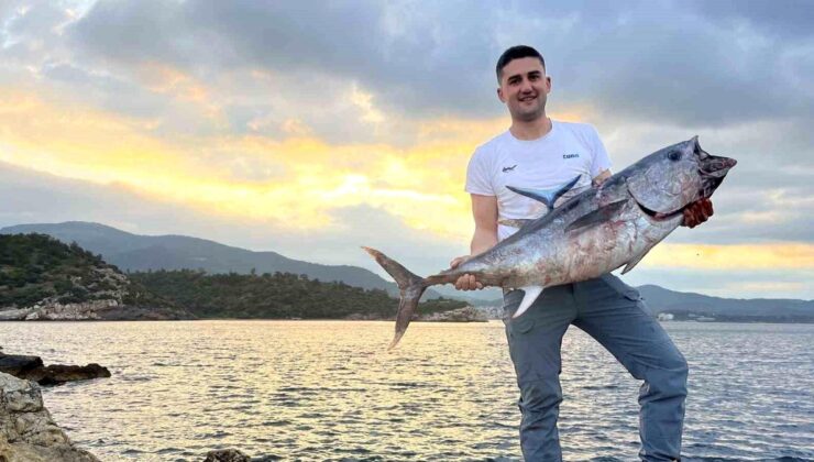 İzmir’de inanılmaz av: Kıyıdan dev orkinos yakaladılar, o anlar kamerada
