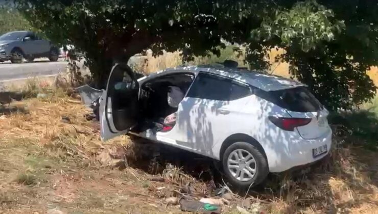 Sollama yaparken ağaca çarptı: 4 ağır yaralı