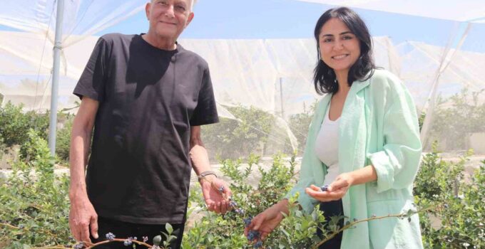 Kent hayatından yorulan çift, topraksız tarım üreticisi oldu