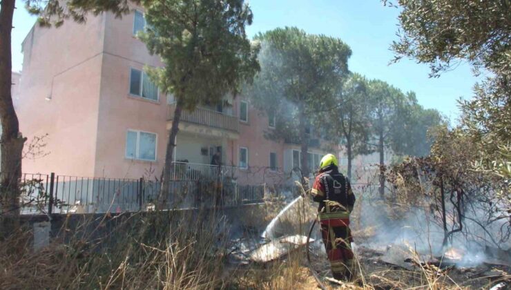Burhaniye’de zeytinliğe sıçrayan ot yangını polis merkezinde dehşete sebep oldu