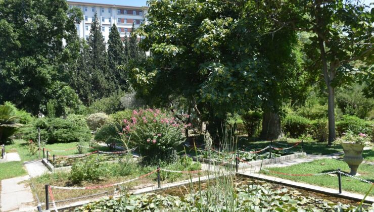 ‘Canlıların yaşayabileceği tampon bölgelerin kaybolduğunu görüyoruz’