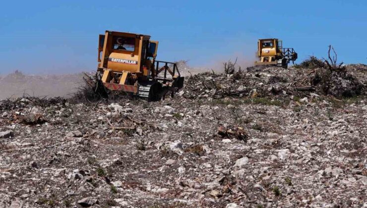 İzmir’de Yanan Ormanlık Alanlarda Ağaçlandırma Çalışmaları Sürüyor