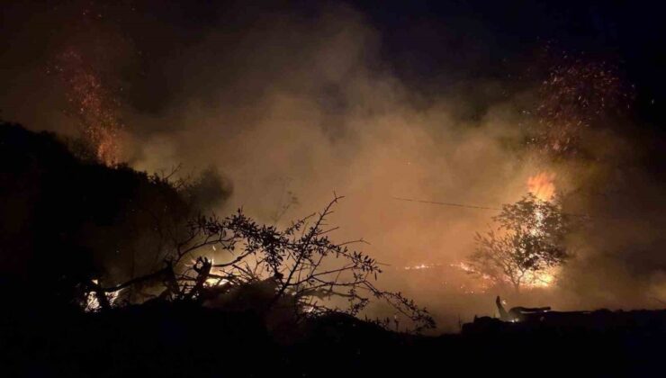Ödemiş’te Orman Yangını Denetim Altına Alındı